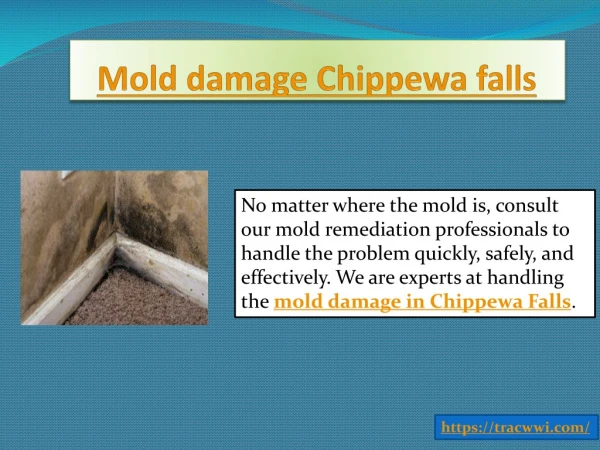 Mold damage Chippewa falls