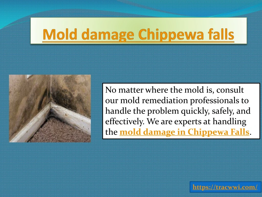 mold damage chippewa falls