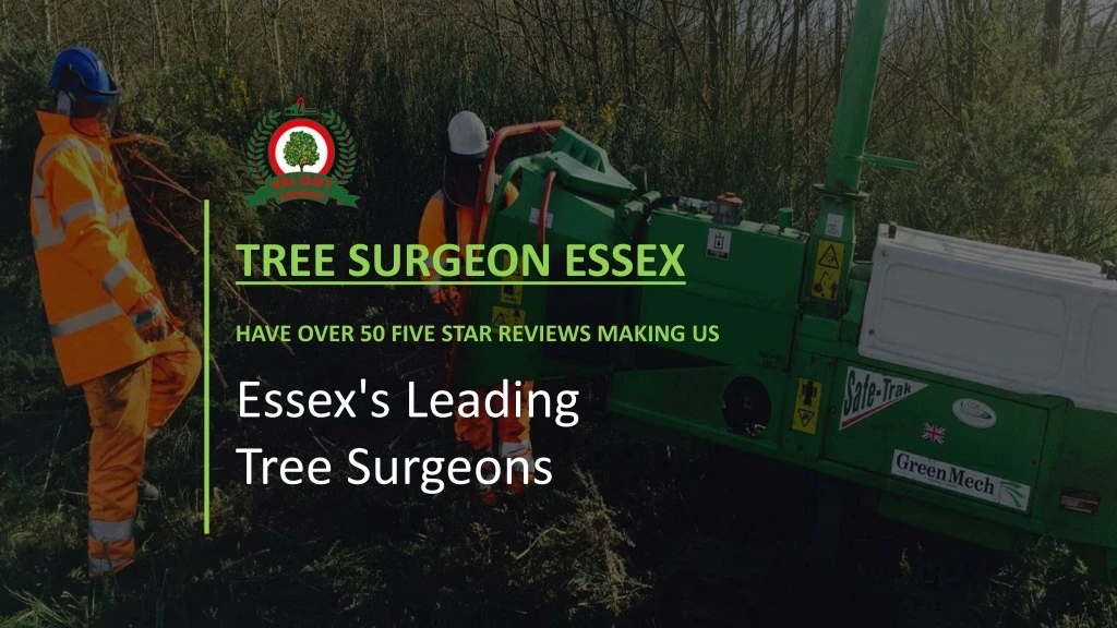 tree surgeon essex