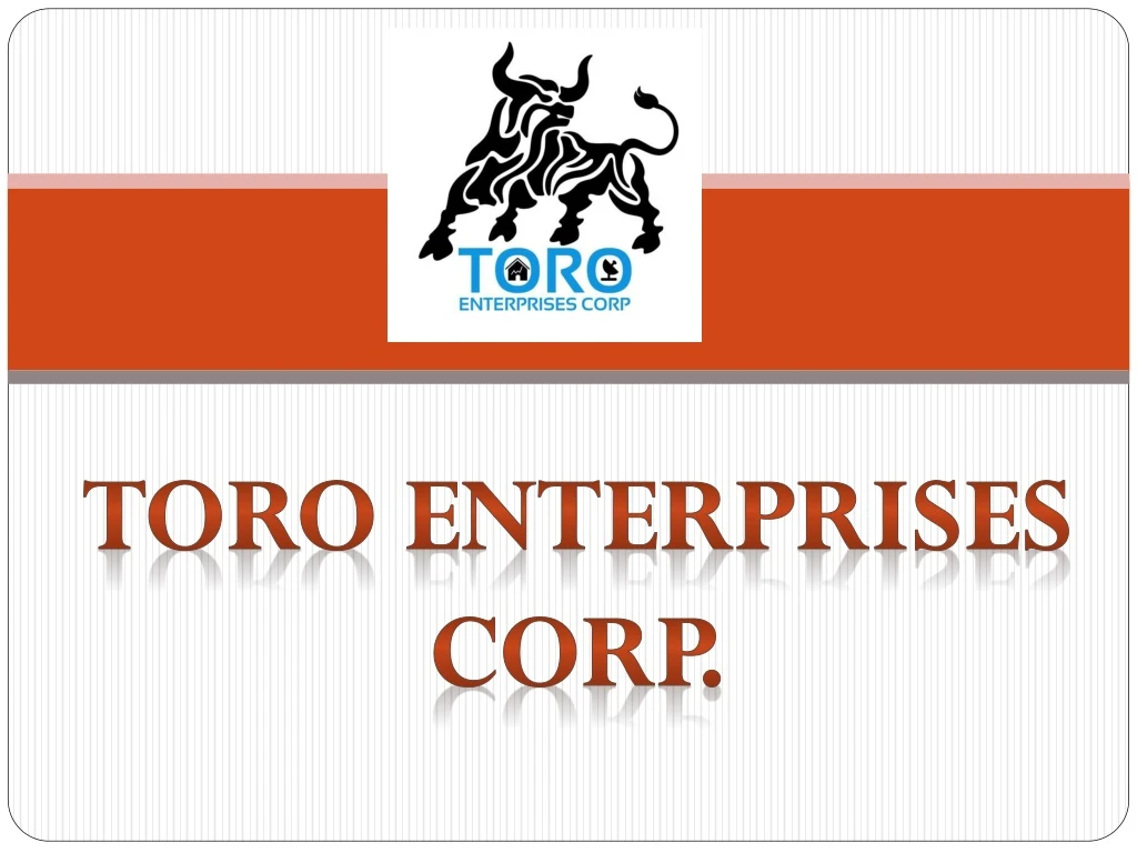 toro enterprises corp