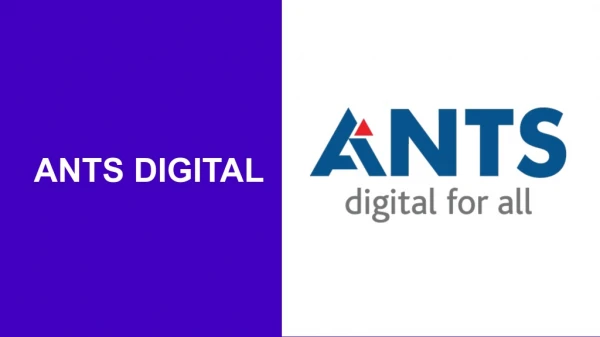 Best Digital Marketing Agency In Gurgaon | ANTS Digital