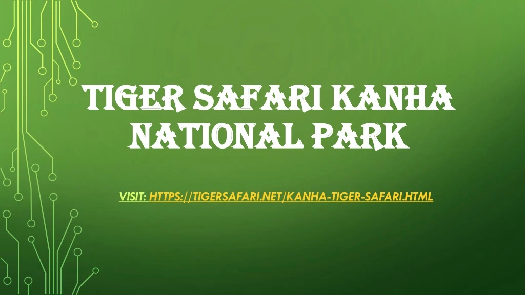 tiger safari kanha national park
