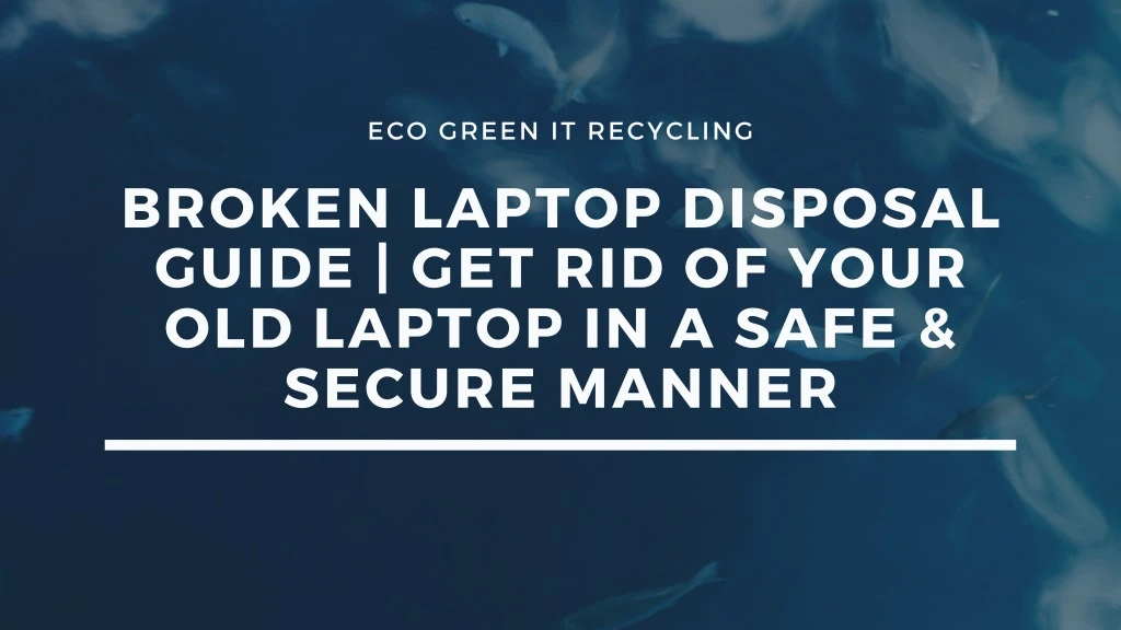 eco green it recycling