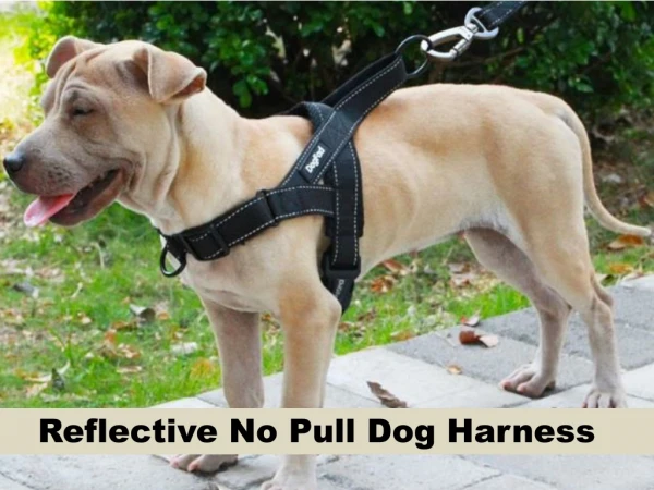 Reflective No Pull Dog Harness | Pet Harness Mart