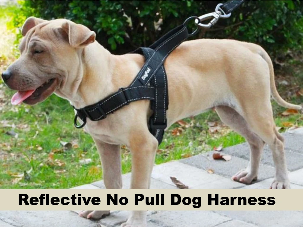 reflective no pull dog harness