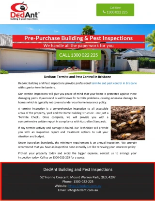 DedAnt: Termite and Pest Control in Brisbane - slide 1