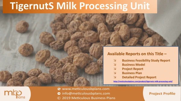 Tigernut Milk Processing Unit
