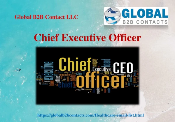 chief executive officer