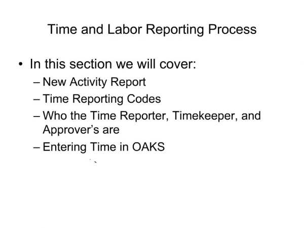 Time and Labor Reporting Process