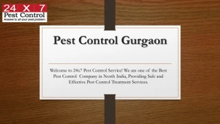 Pest Control Services - slide 1