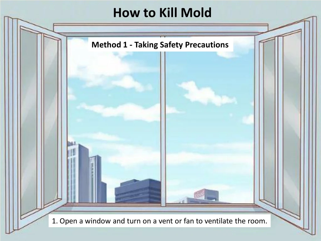 how to kill mold