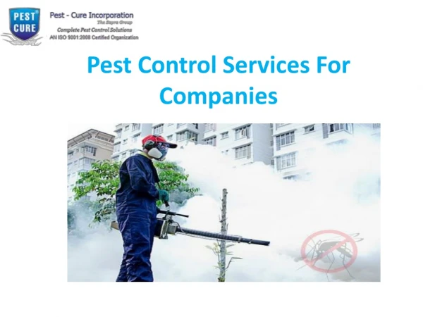 Pest control services for Companies