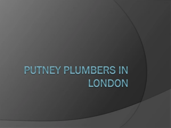 Putney Plumbers London