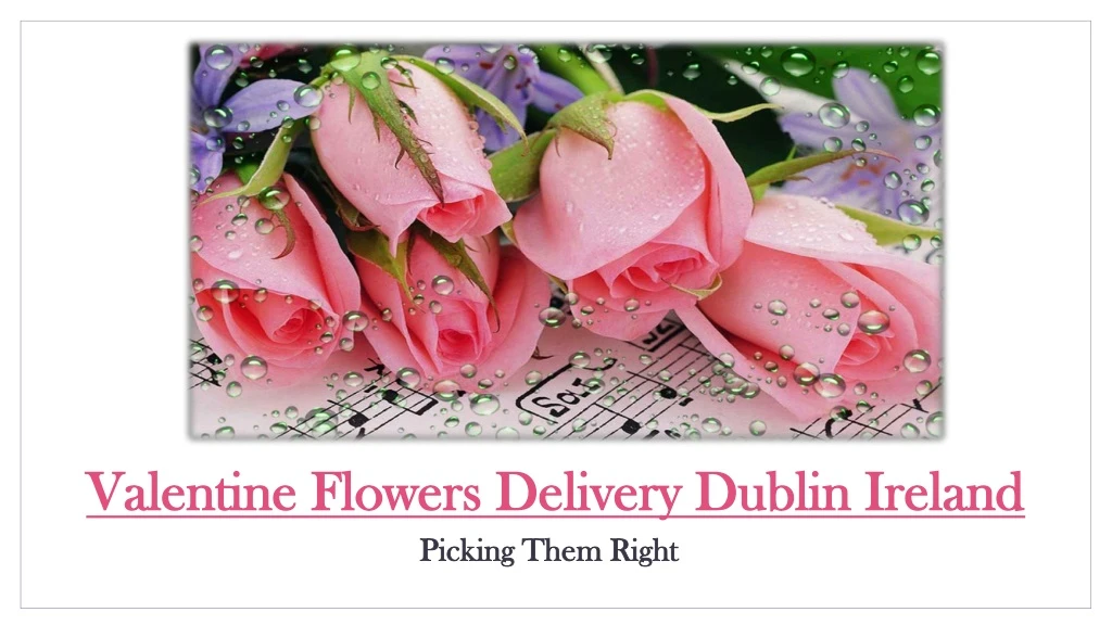 valentine flowers delivery dublin ireland