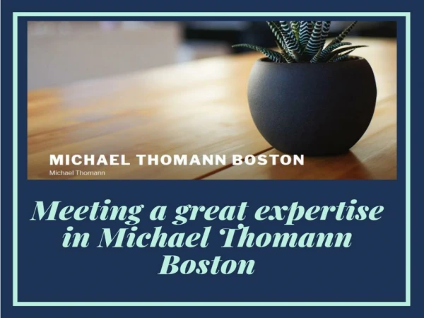 Meet the best consultant Michael Thomann Consulting Boston to get better constancy in your city