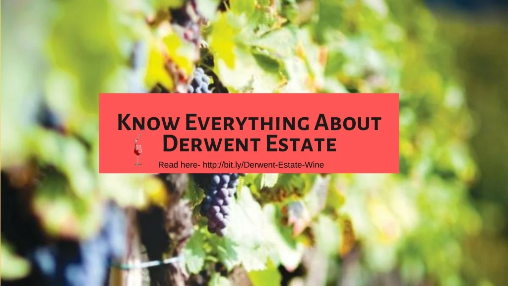 know everything about derwent estate read here