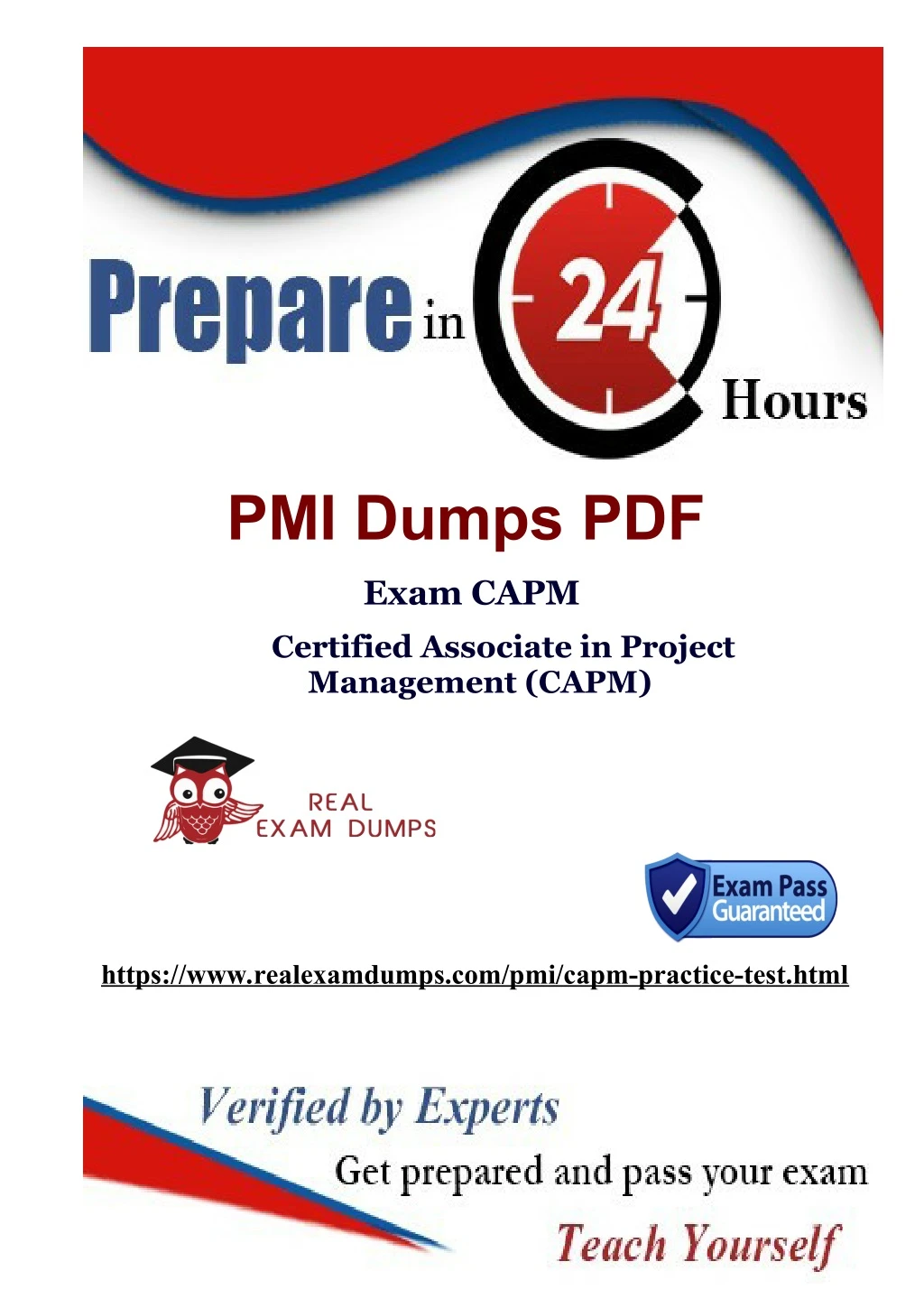 pmi dumps pdf