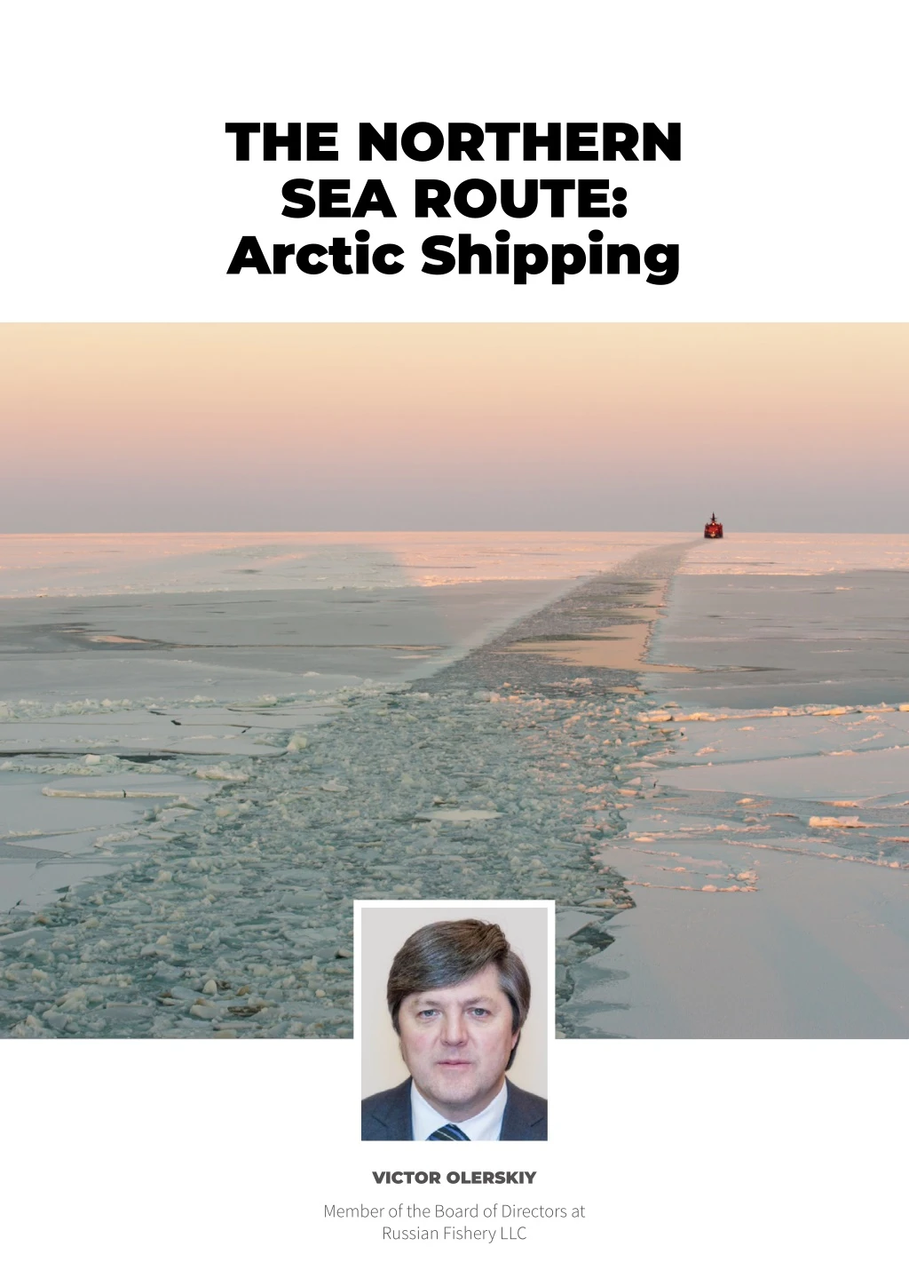 the northern sea route arctic shipping