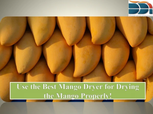 Use the Best Mango Dryer for Drying the Mango Properly!