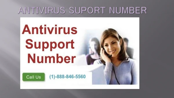 Antivirus Support Number