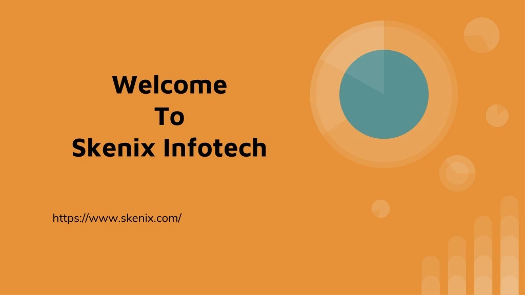 welcome to skenix infotech