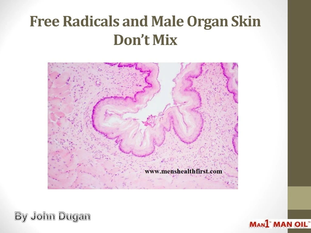 free radicals and male organ skin don t mix