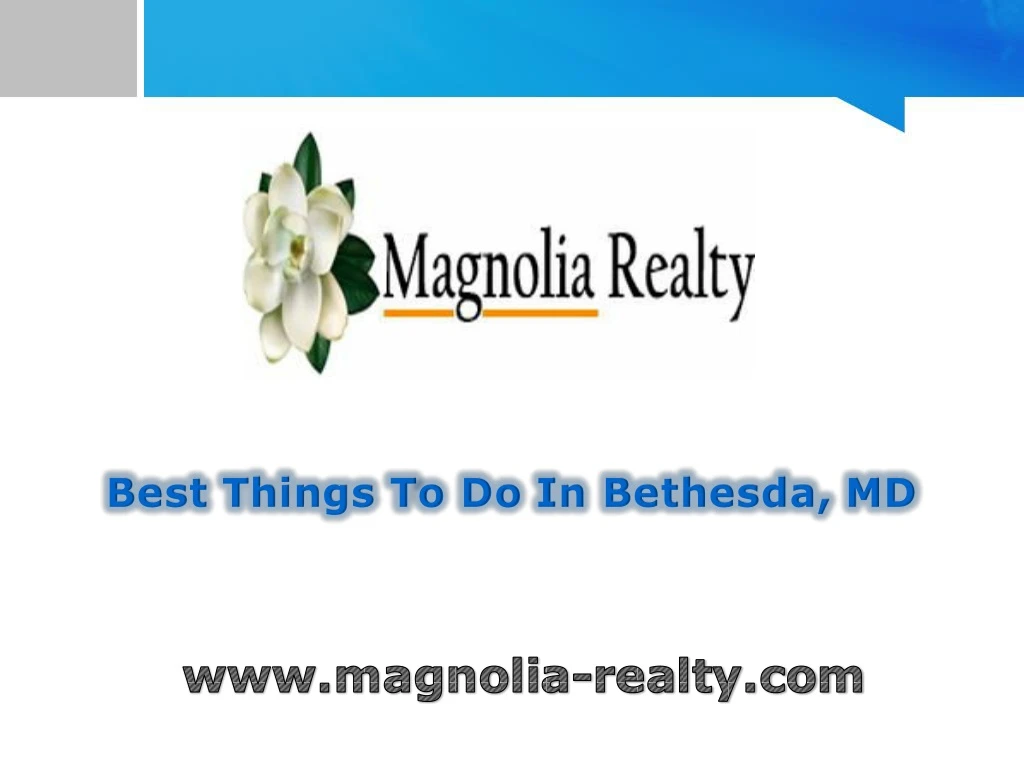 best things to do in bethesda md