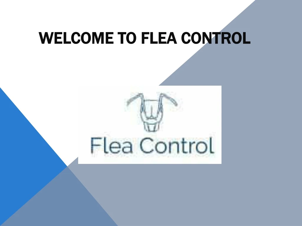 welcome to flea control