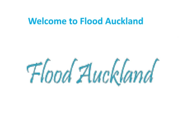 Dry Carpet | Flood Carpet Drying Auckland | Flood Auckland