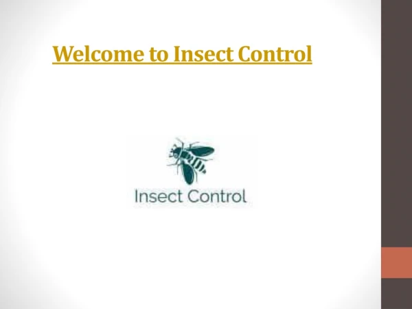 Insect Control Auckland North Shore, West, South | Call Us 0800 199 399