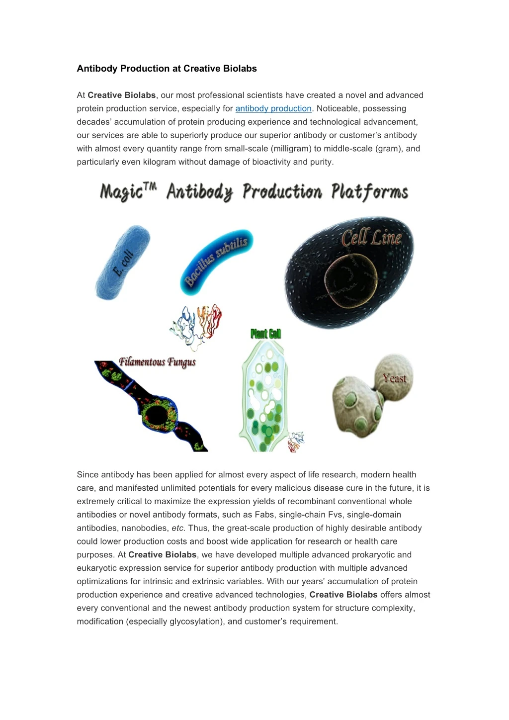 antibody production at creative biolabs