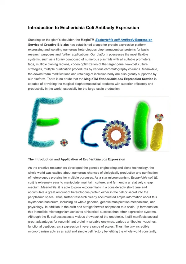 Introduction to escherichia coli antibody expression