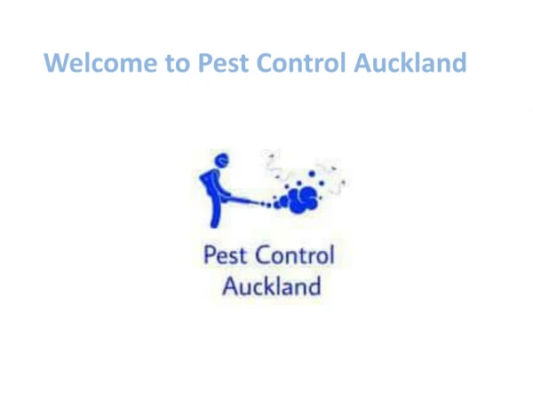 Pest Control Auckland | Rodent Control East, West and South Auckland City