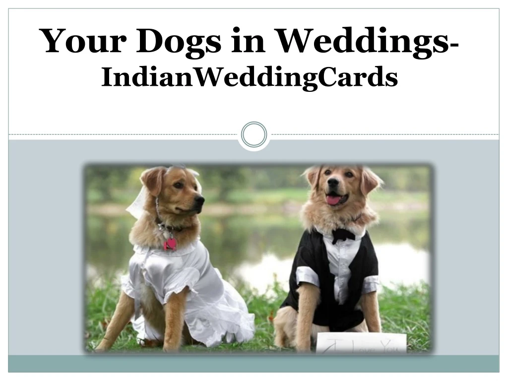 your dogs in weddings indianweddingcards