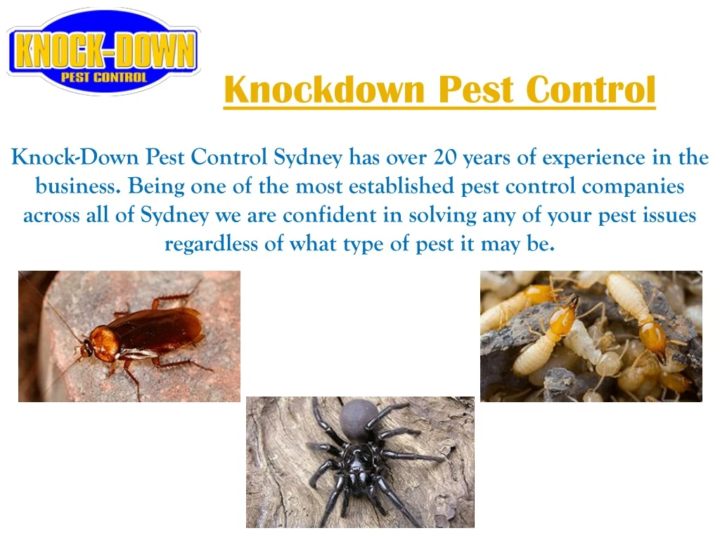 knockdown pest control