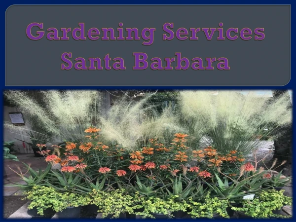 Gardening Services Santa Barbara