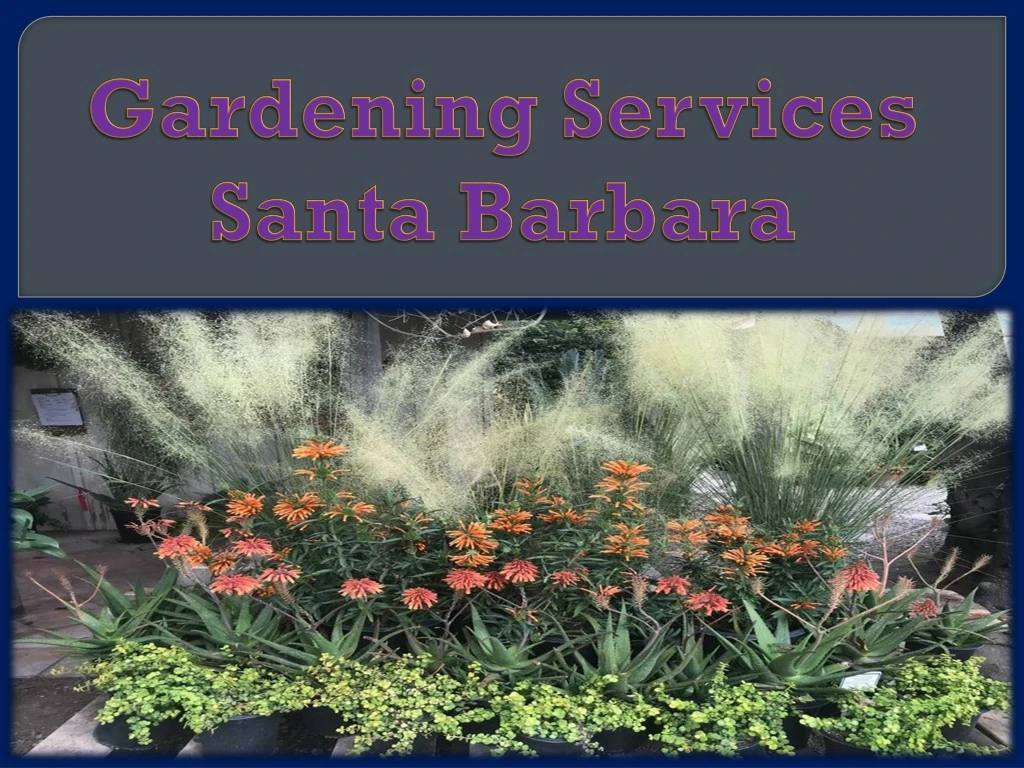 gardening services santa barbara