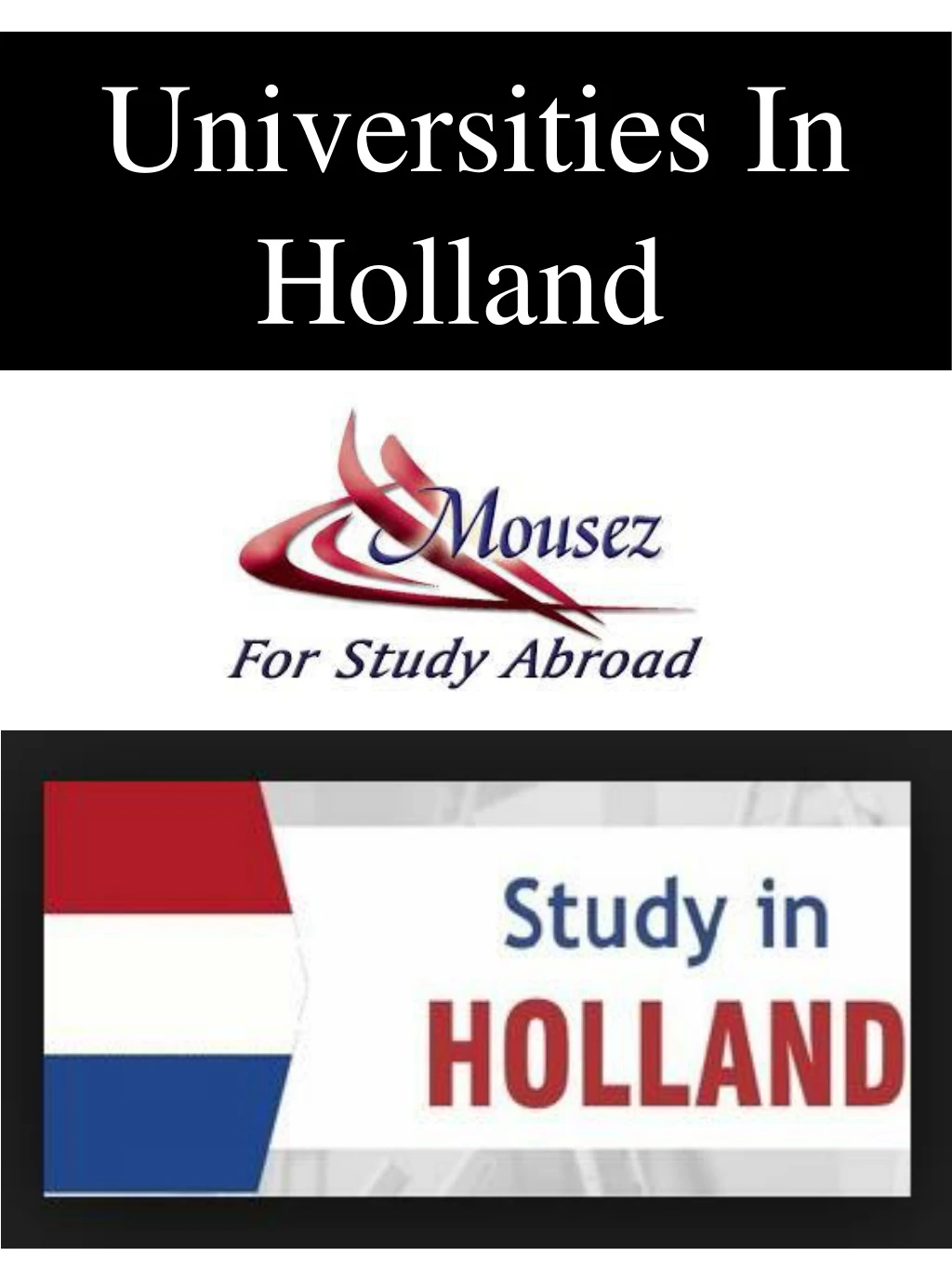 universities in holland