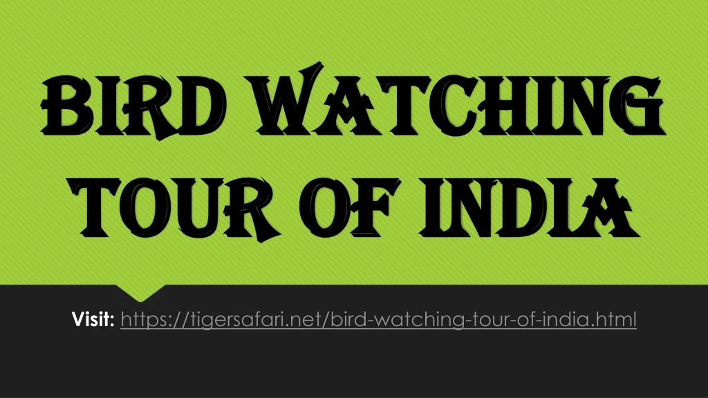 bird watching tour of india