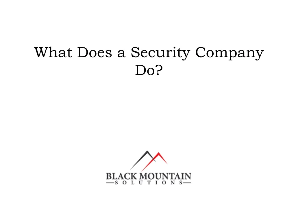 what does a security company do