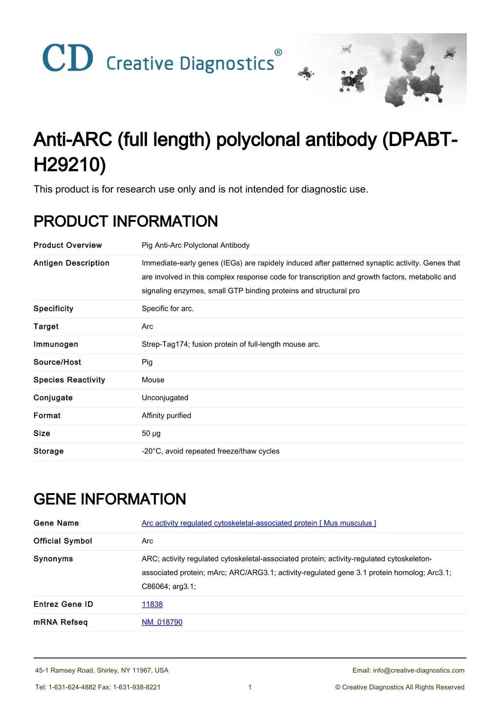 anti arc full length polyclonal antibody dpabt