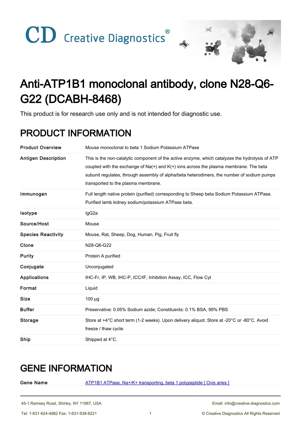 anti atp1b1 monoclonal antibody clone n28 q6 anti