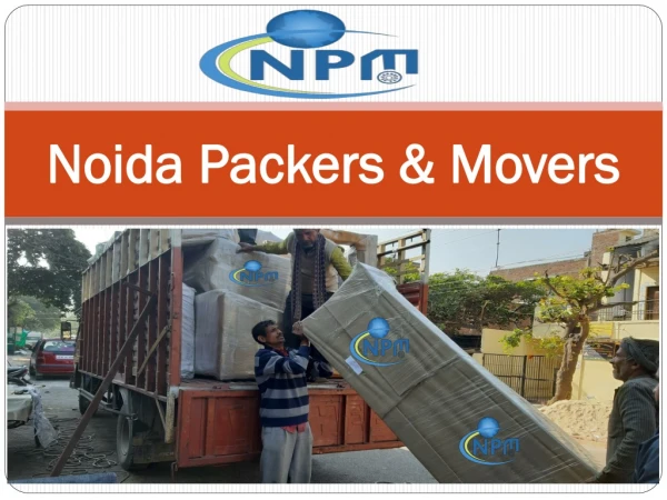 Packers and Movers in Noida