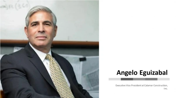 Angelo Eguizabal - Experienced Professional From Hanover, Maryland