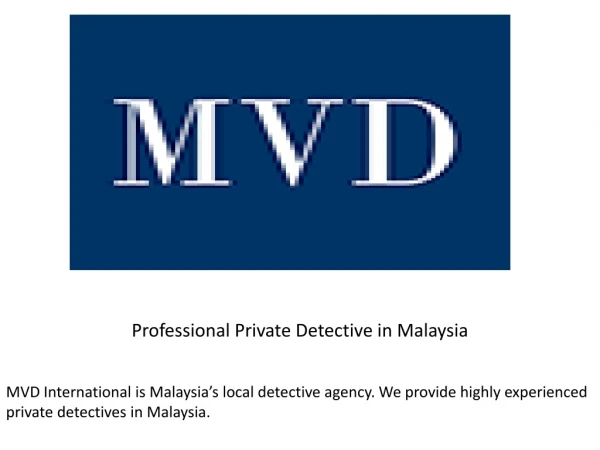 professional private detective in malaysia