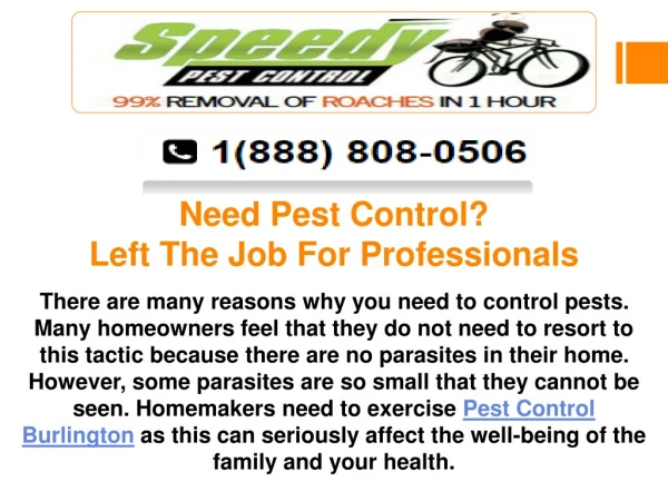 Need Pest Control? Left The Job For Professionals