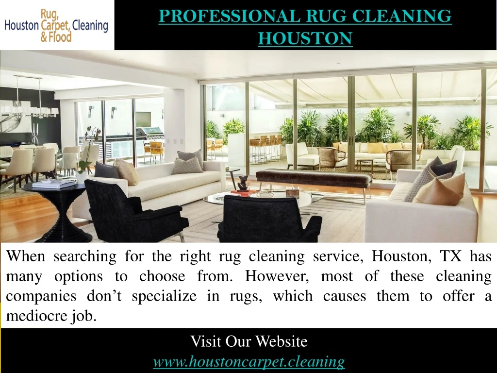 professional rug cleaning houston