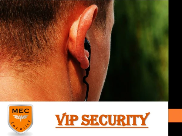 VIP Security