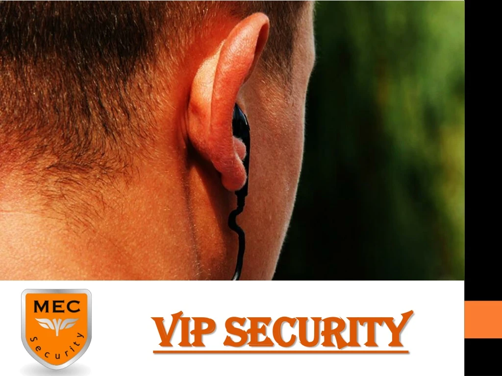 vip security