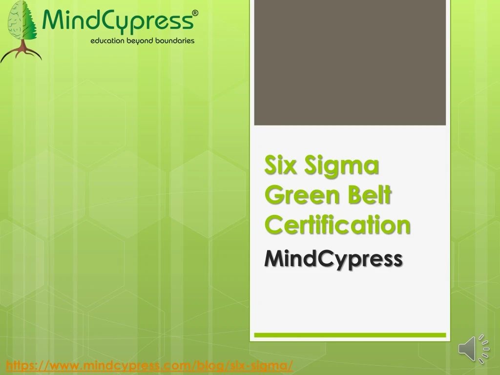 six sigma green belt certification